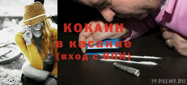 индика Зеленодольск