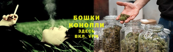 индика Зеленодольск