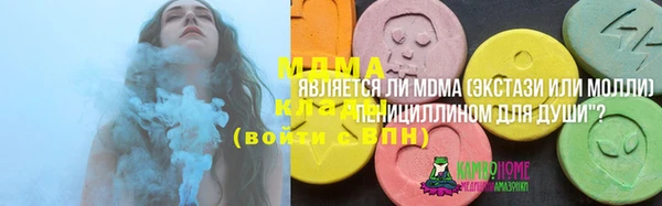 индика Зеленодольск