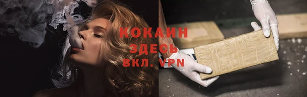 индика Зеленодольск