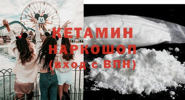 индика Зеленодольск