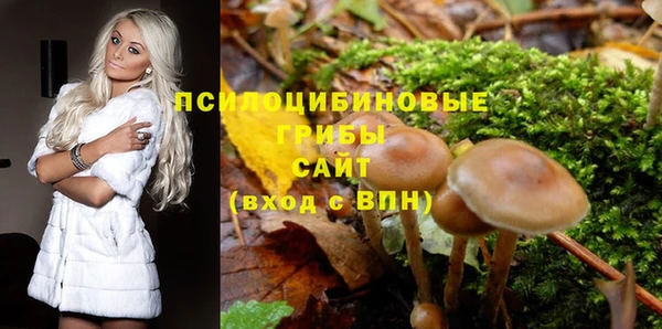 таблы Зерноград
