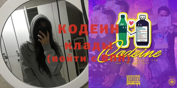 индика Зеленодольск