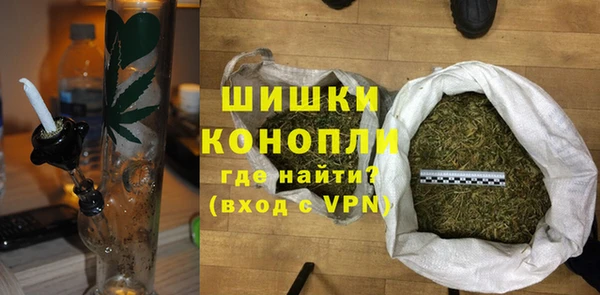 индика Зеленодольск
