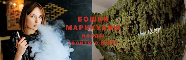 индика Зеленодольск