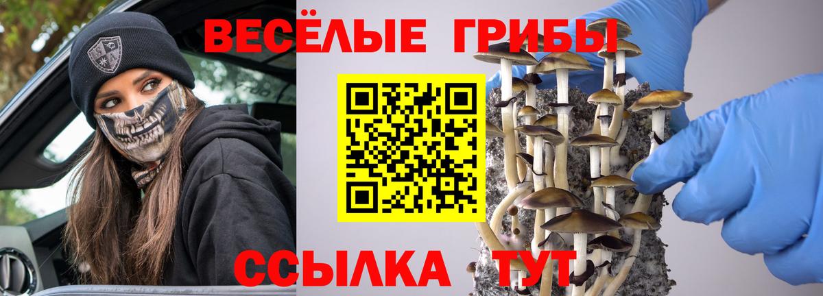 Псилоцибиновые грибы ЛСД  Ноябрьск 