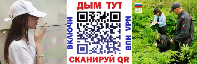 Бошки марихуана конопля Ноябрьск